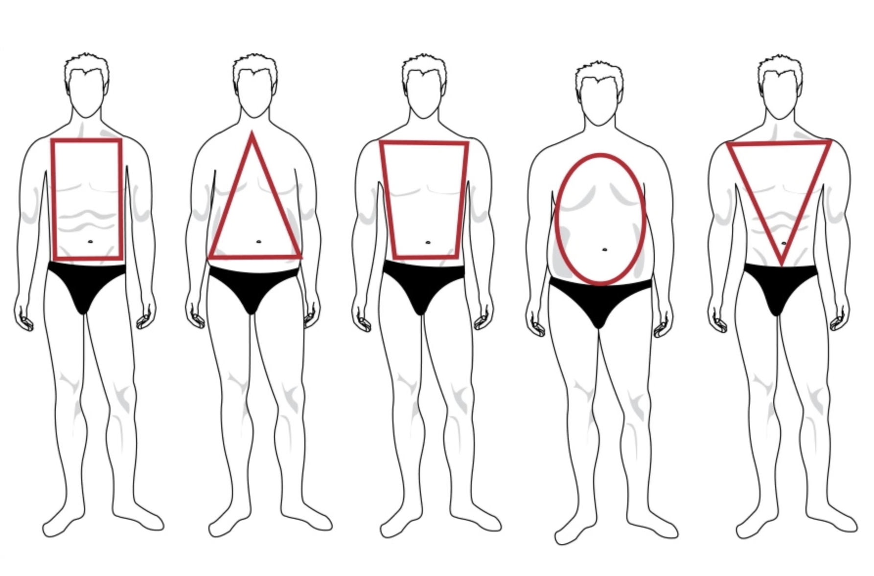 Виды фигур человека. Типы мужских фигур. Формы фигуры у мужчин. Тип мужской фигуры треугольник. Типы телосложения у мужчин.